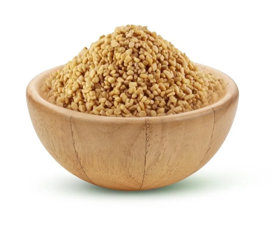 حلبة حصى