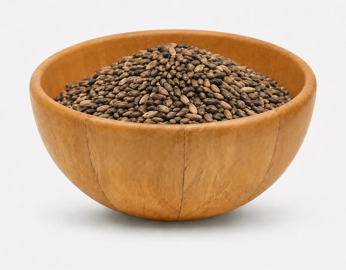 حليب شوك الجمل