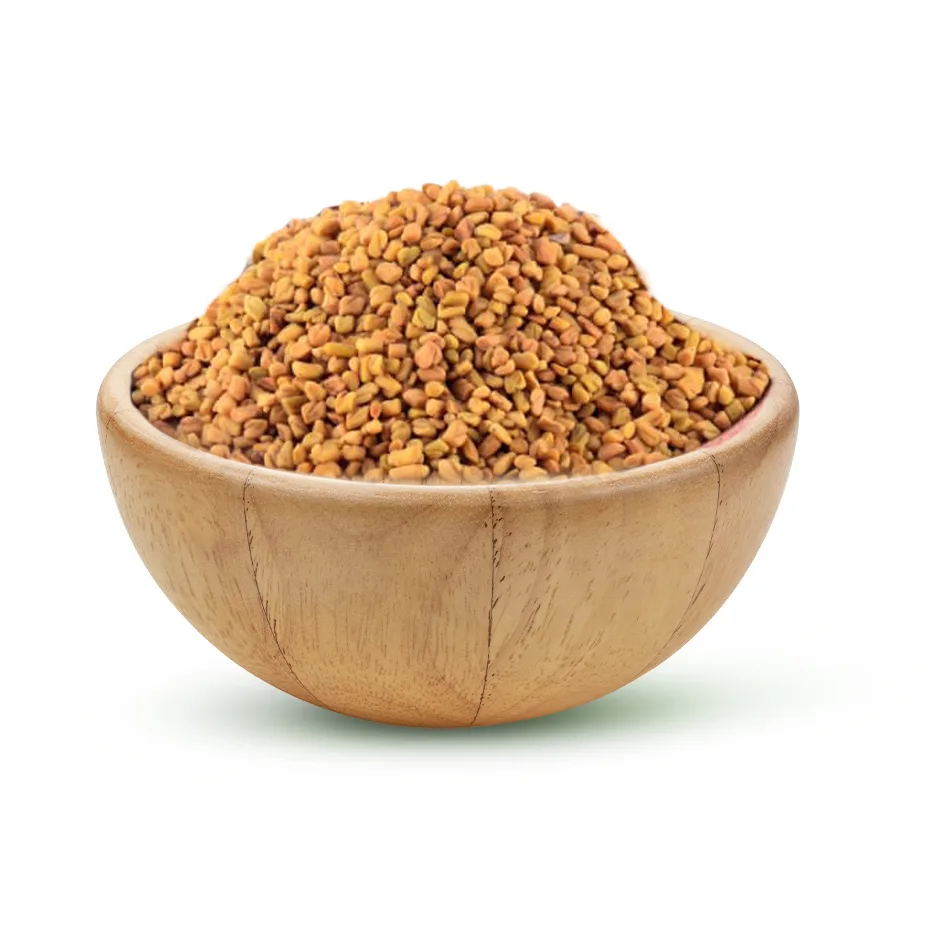 حلبة مرة