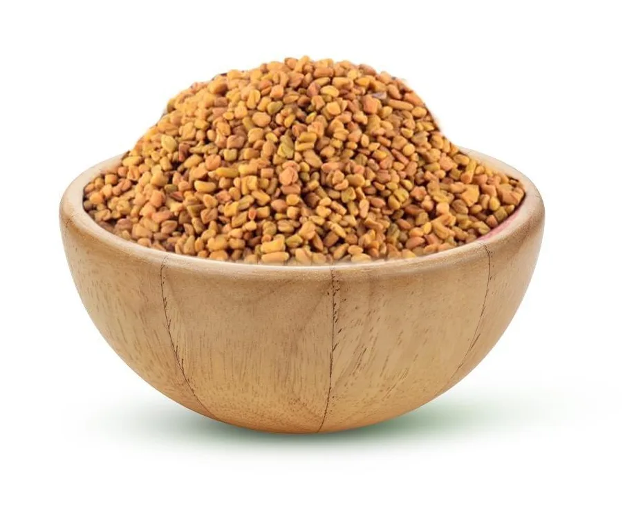 حلبة مرة