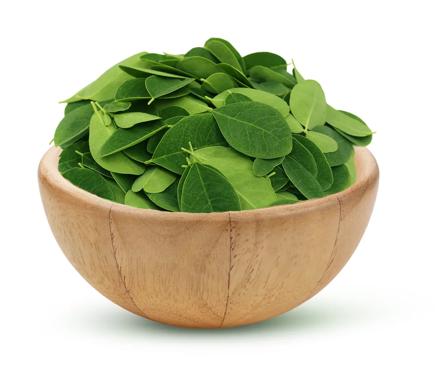 مورينجا ورق